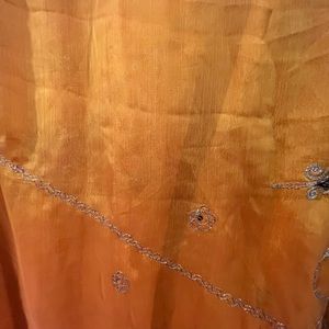 Indian sari